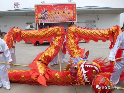 舞动古今，传承不息——舞龙舞狮等非物质文化遗产的实践与传播